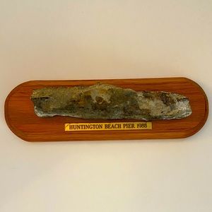 VINTAGE Piece of HUNTINGTON BEACH PIER 1988 Mounted On Wood